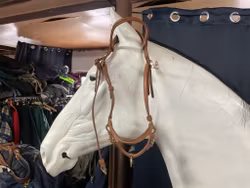 Chetak,visningsträns,brun,cob