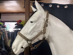 Jockey grimma,f,brunrutig