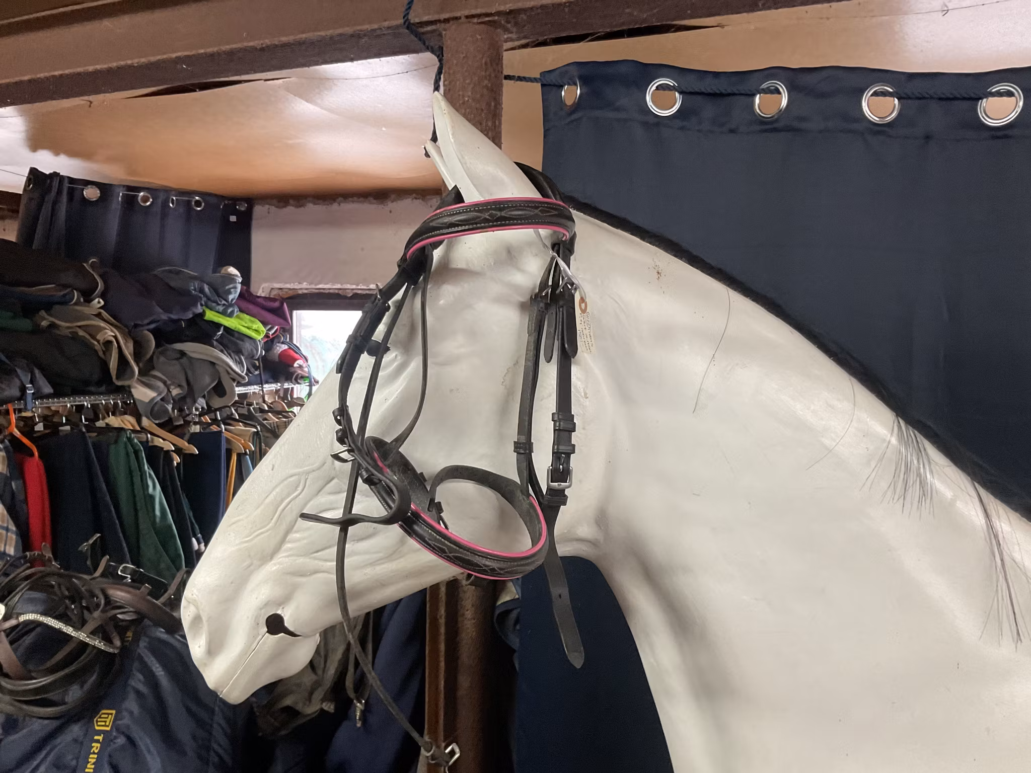 Träns svart med rosa,p,ej nosrem