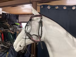 Träns svart med rosa,p,ej nosrem