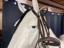 Träns,brunt,p,fattas några stenar i pannbandet