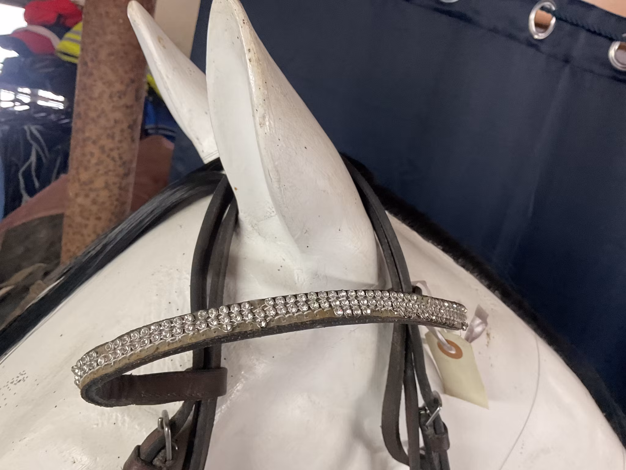 Träns,brunt,p,fattas några stenar i pannbandet