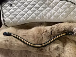 Eqviptus pannband,svart med guldig klinkers,snabbknäppe,39 cm,nytt