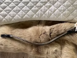 Eqviptus pannband,svart med silvrig klinkers,snabbknäppe,40 cm,nytt