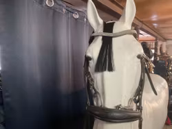 Fairfield träns,ej tyglar,svart inkl tredelat bett, 11,5 cm