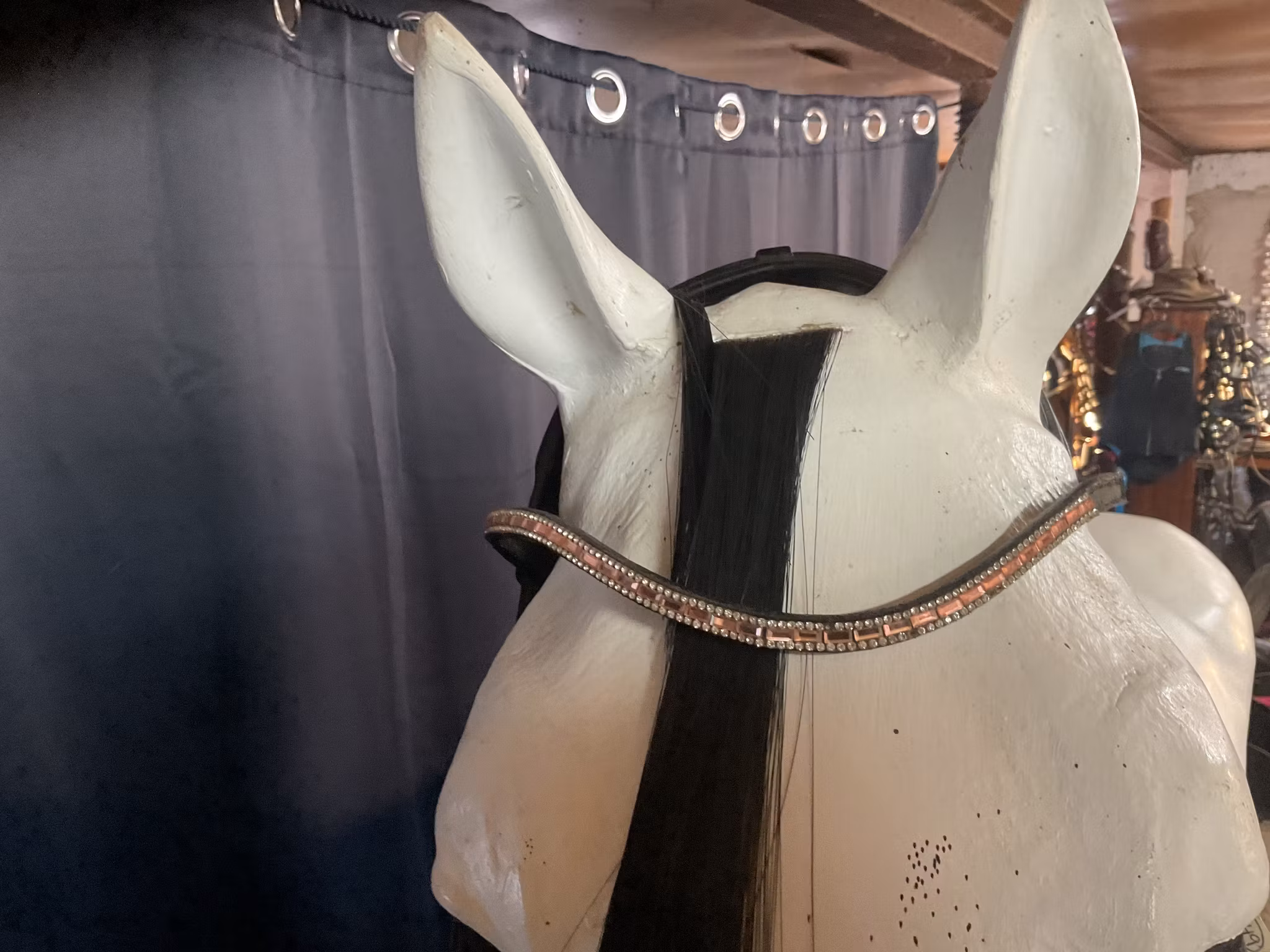 Waldhausen,träns,svart inkl tredelat bett 11 cm