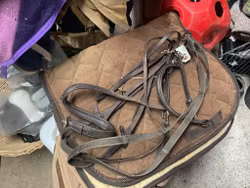 Träns inkl tyglar,brunt,f