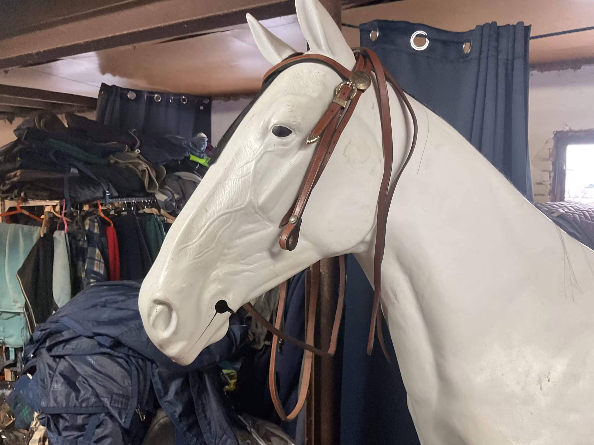 Westerntröns inkl tyglar,brunt