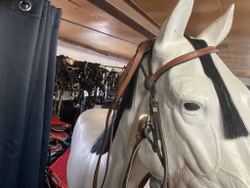 Westerntröns inkl tyglar,brunt