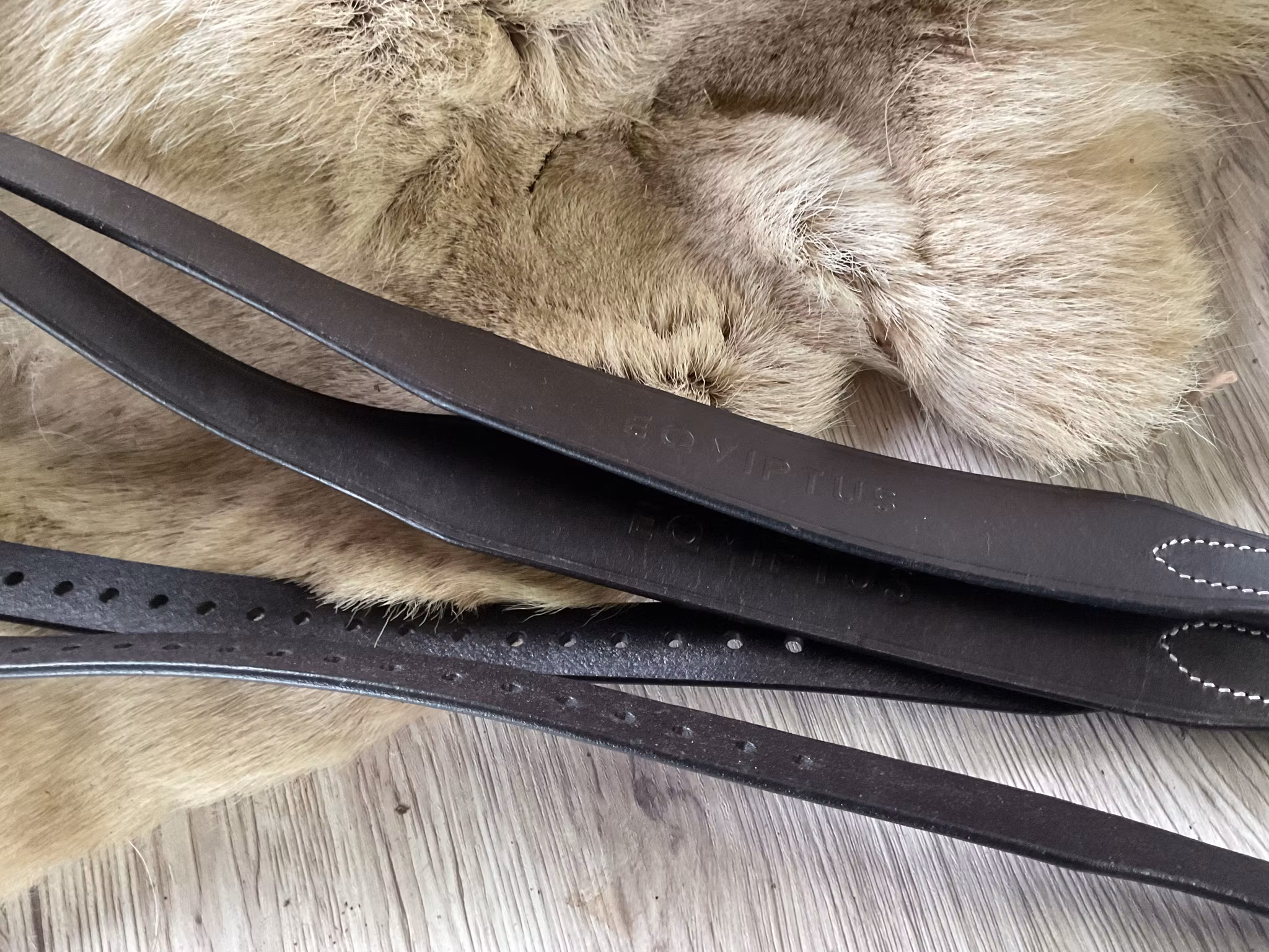 Eqviptus,stigläder,mörkbruna,115 cm,nya