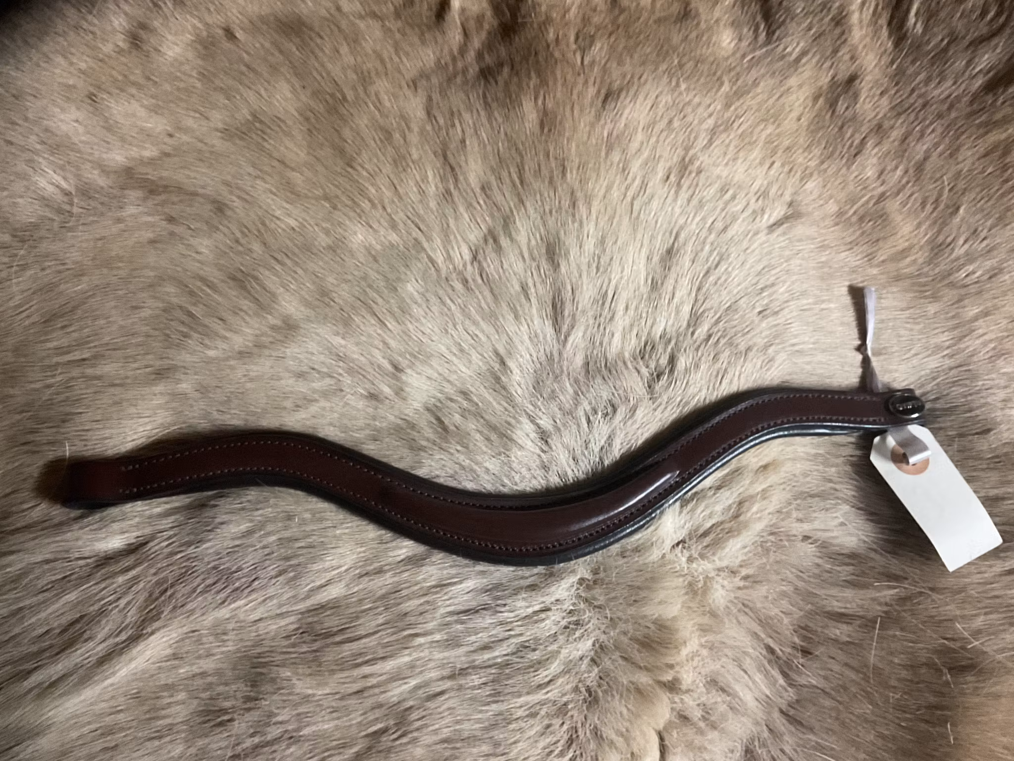 Eqviptus pannband,brunt,35 cm,nytt