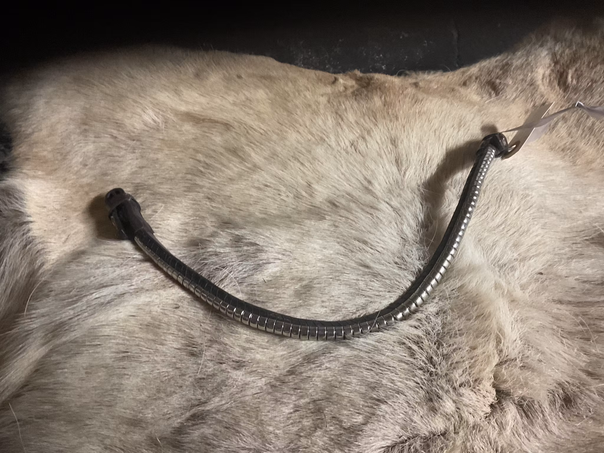 Eqviptus pannband,brunt med silvrigt klinker,snabbknäppe,41 cm,nytt