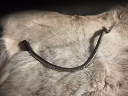 Eqviptus pannband,brunt med silvrigt klinker,snabbknäppe,41 cm,nytt