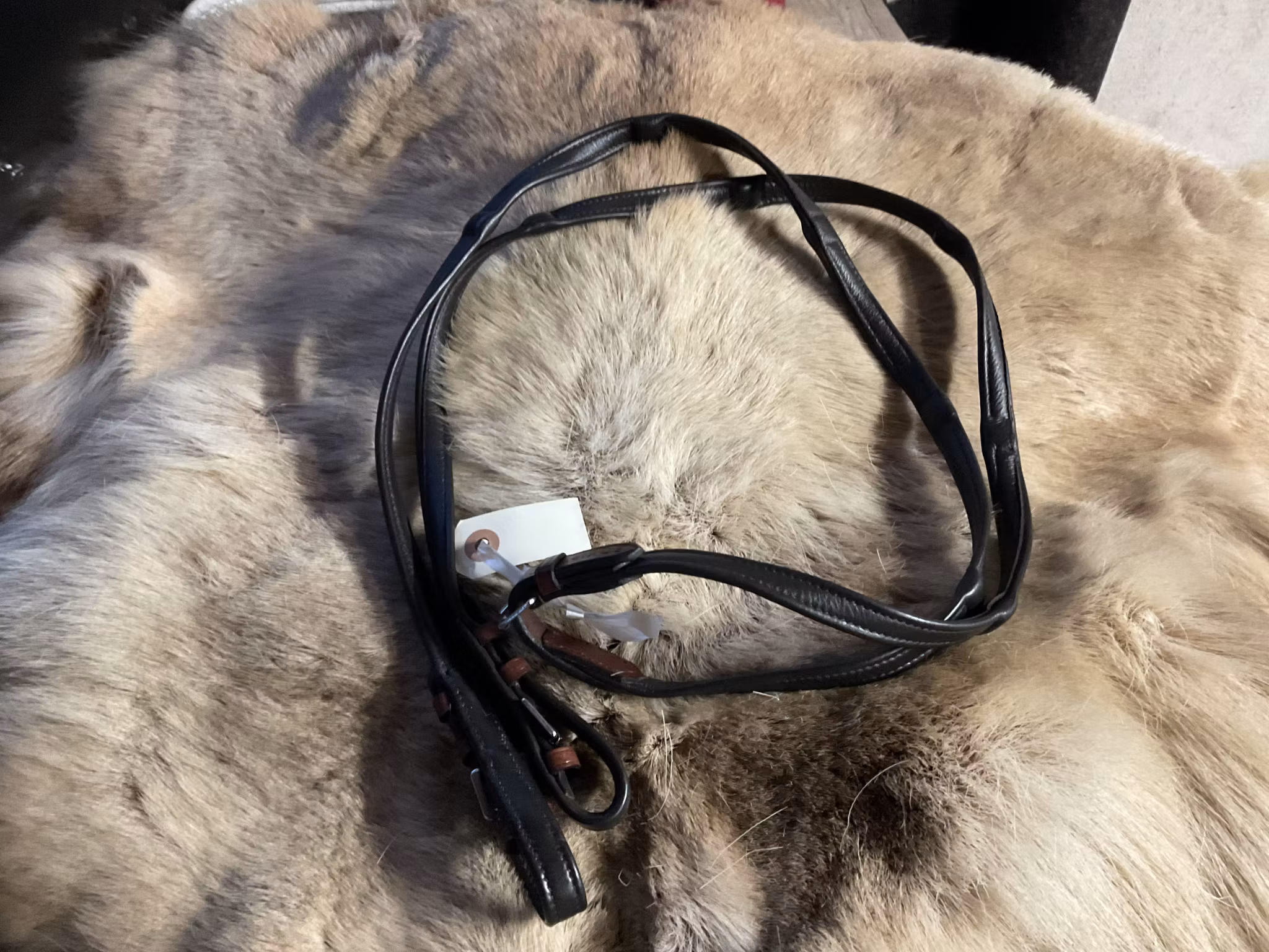 Eqviptus lädertyglar,bruna,p,nya