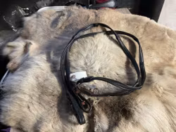 Eqviptus tyglar,läder,bruna,p,nya