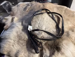 Eqviptus lädertyglar,bruna,p,nya