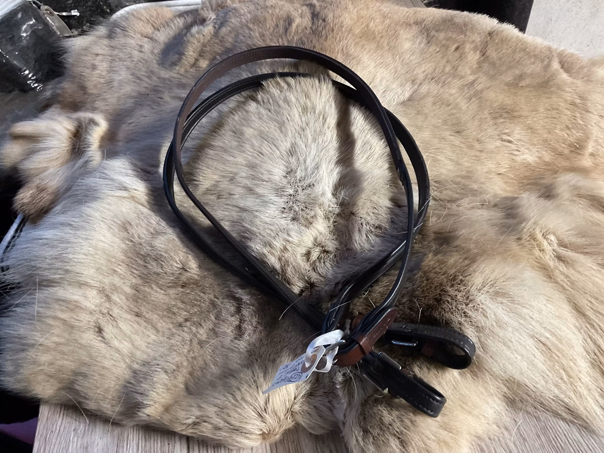 Eqviptus tyglar,läder utsidan,gummi insidan,bruna,p,nya