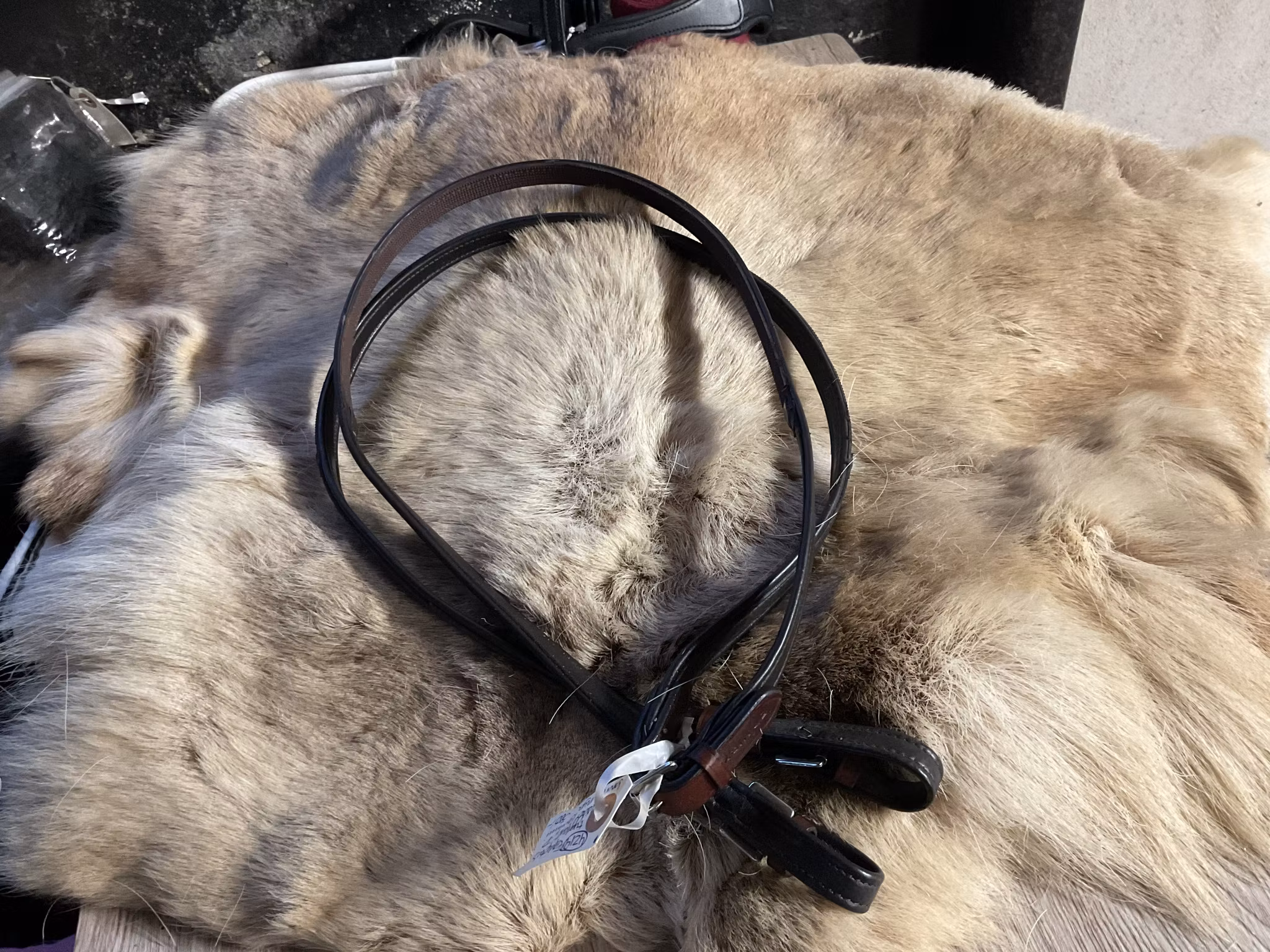 Eqviptus tyglar,läder utsidan,gummi insidan,bruna,p,nya