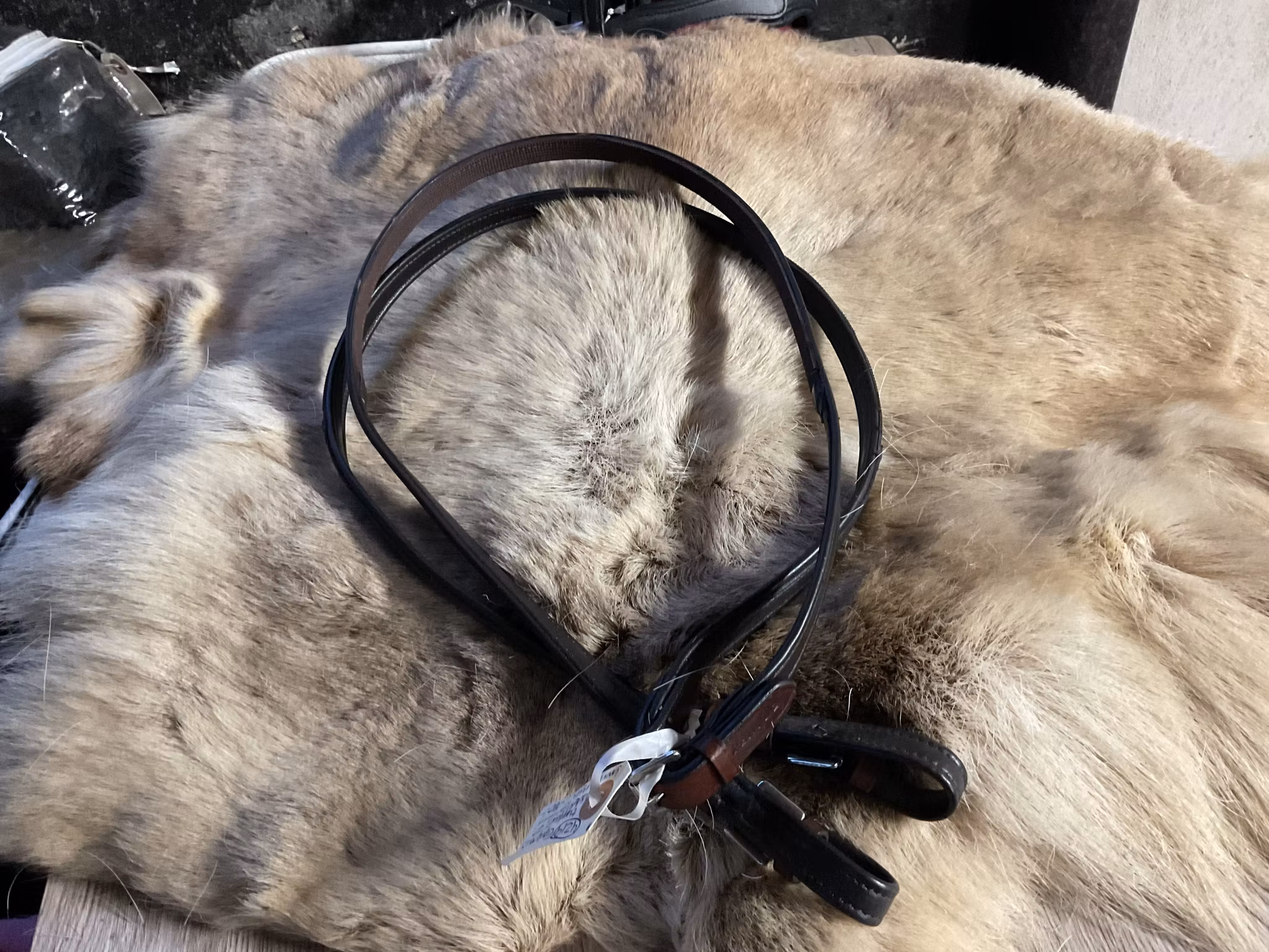 Eqviptus tyglar,löder utsidan,gummi insidan,bruna,p,nya