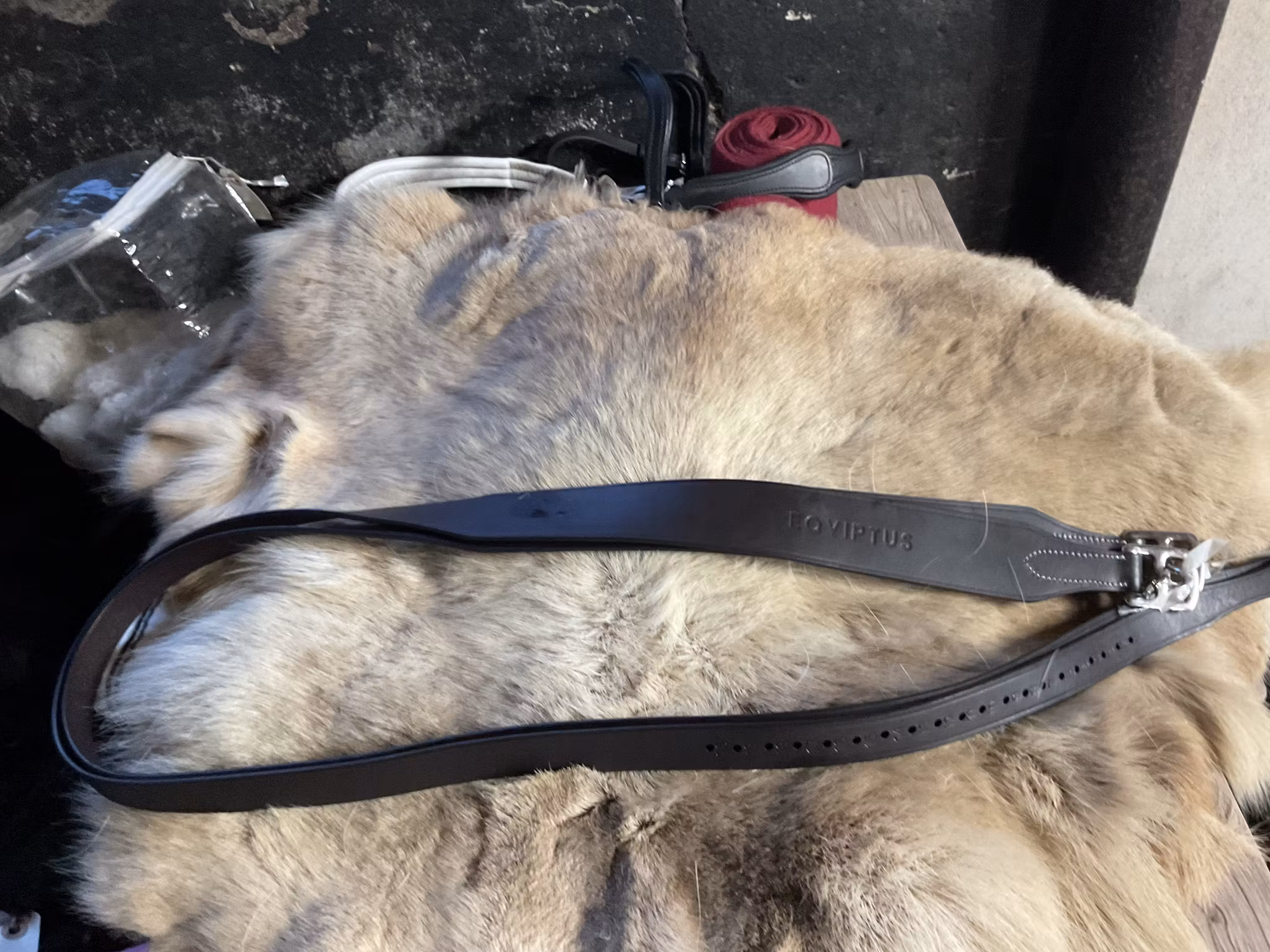 Eqviptus stigläder,mörkbruna,165 cm,nya