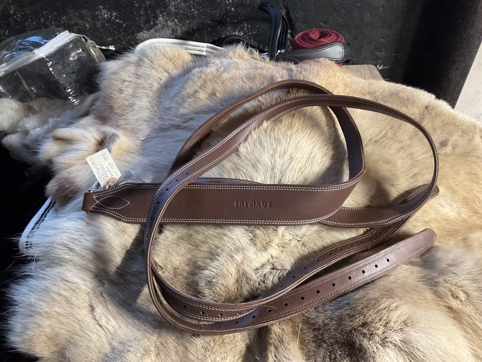 Eqviptus stigläder,bruna,155 cm,nya