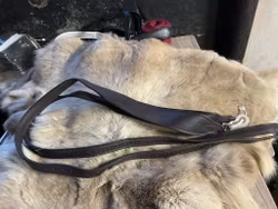 Eqviptus stigläder,mörkbruna,135 cm,nya