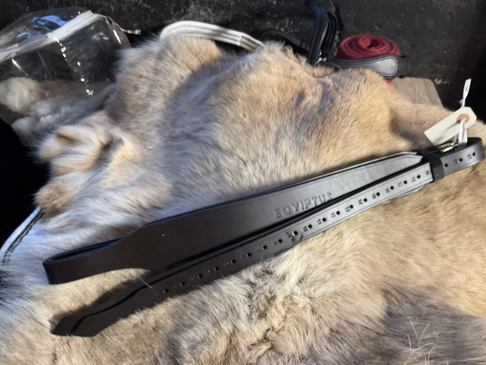 Eqviptus stigläder,mörkbruna,165 cm,nya