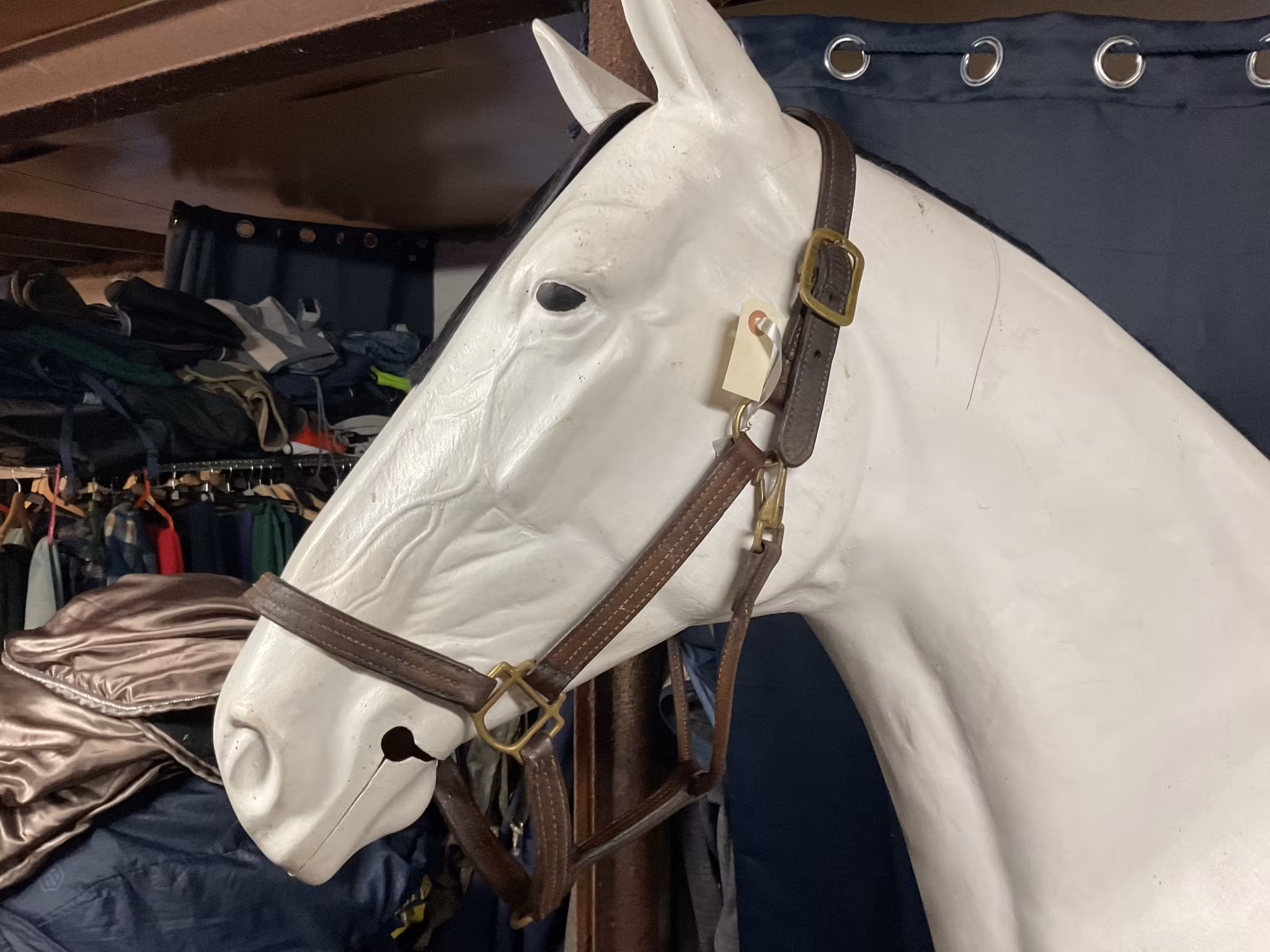 Walsh lädergrimma,brun,f