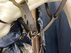 Walsh lädergrimma,brun,f,ett hack