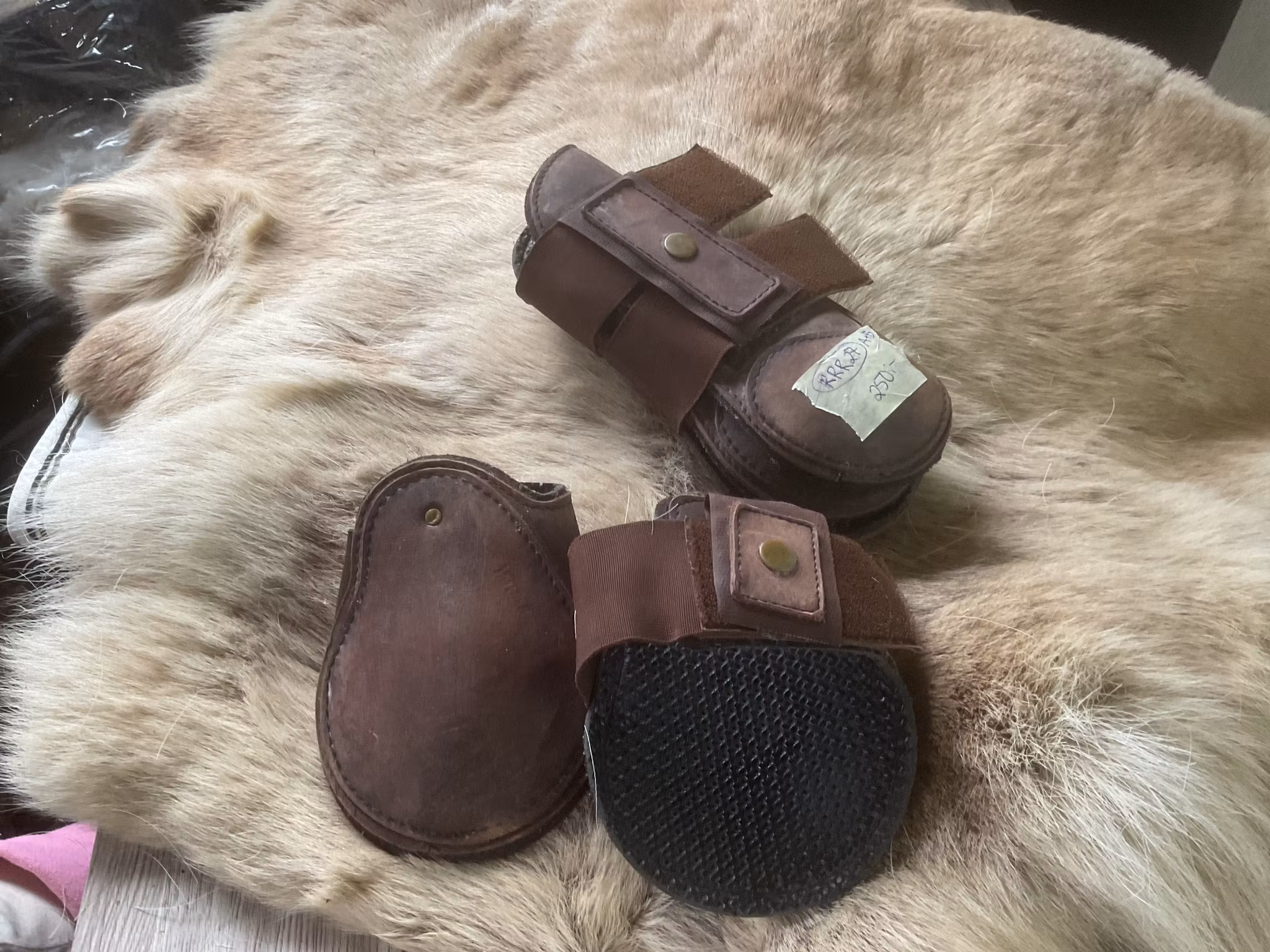 Masuch,benskydd,bruna,fram plus bak,f