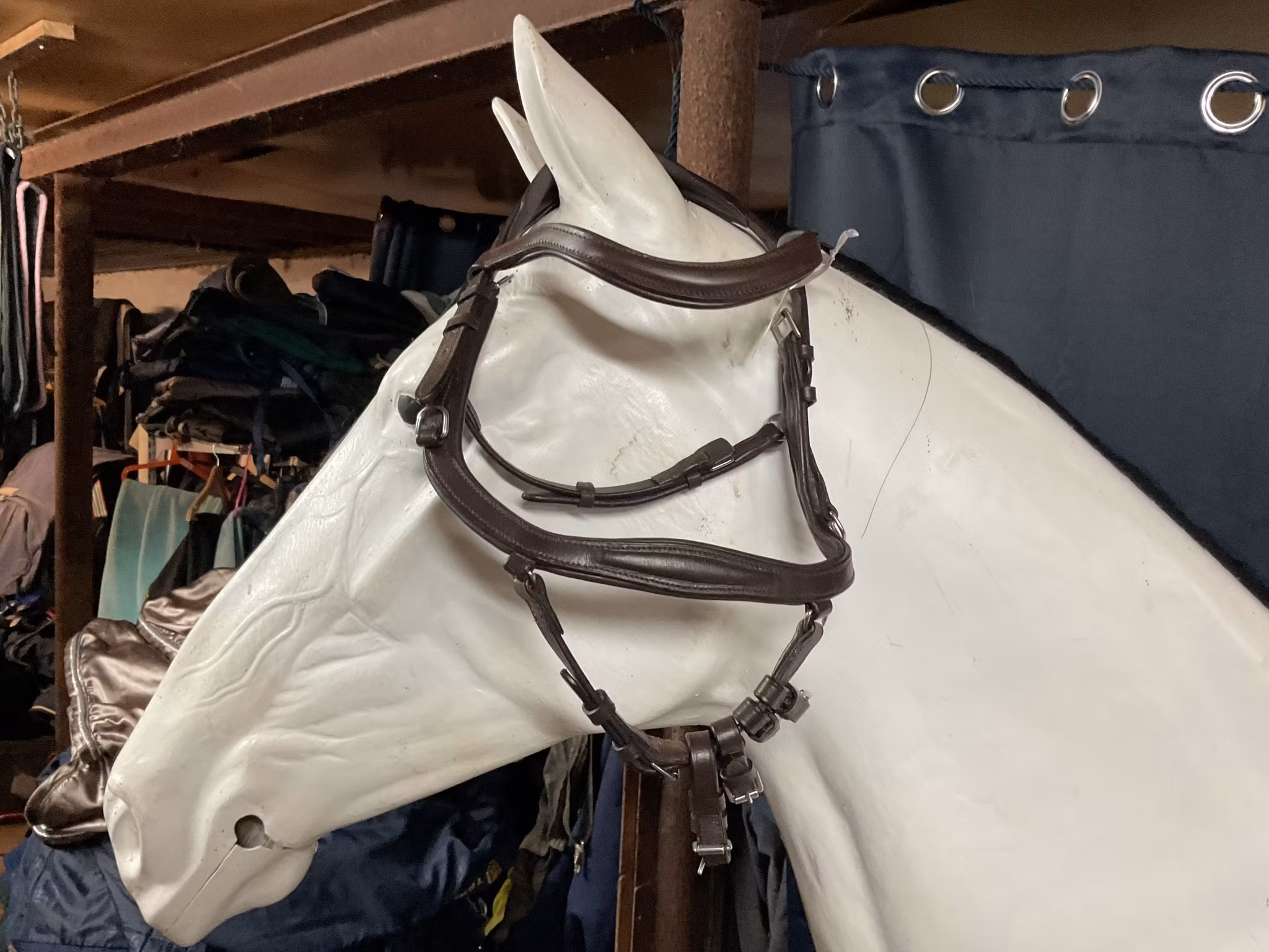 Eqviptus träns,sensum,brunt,p,nytt,ordpris 1895