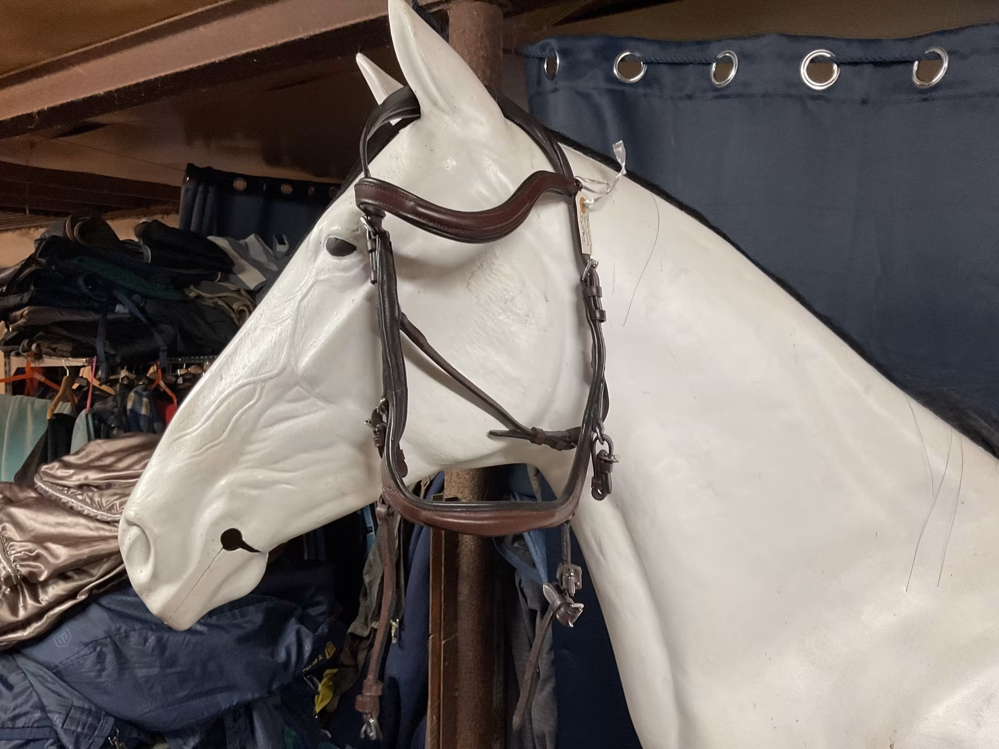 Eqviptus träns sensum,cob,nytt,ordpris 1895