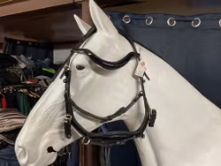 Eqviptus träns sensum glossy,cob,nytt svart,ordpris 1895