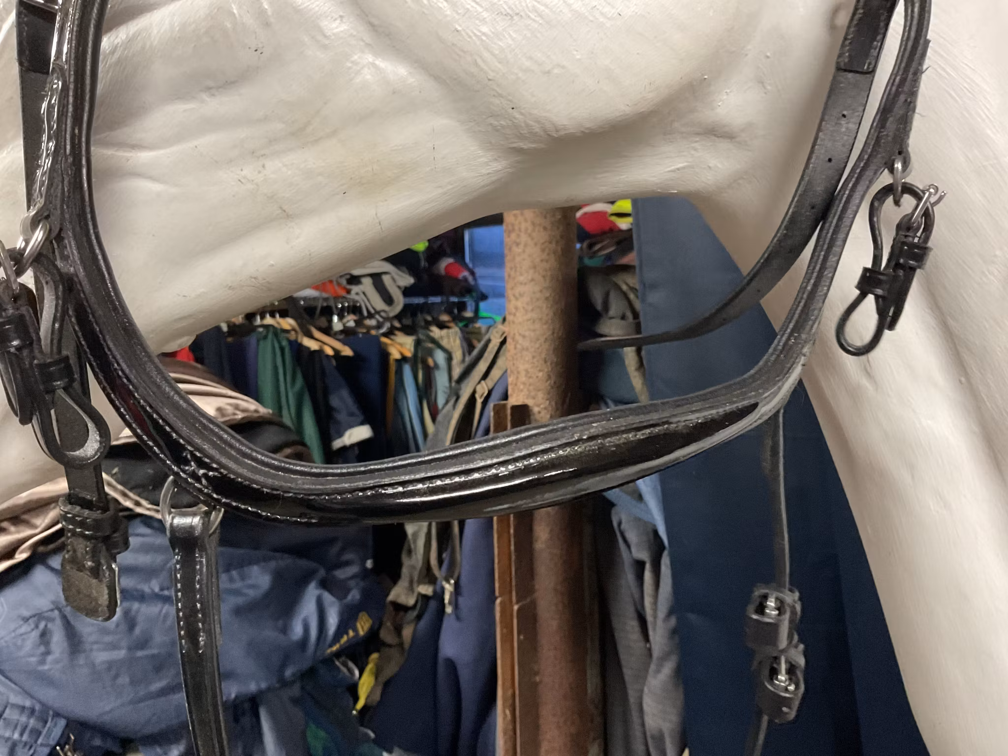 Eqviptus träns sensum glossy,f,nytt,ordpris 1895