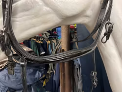 Eqviptus träns sensum glossy,f,nytt,ordpris 1895