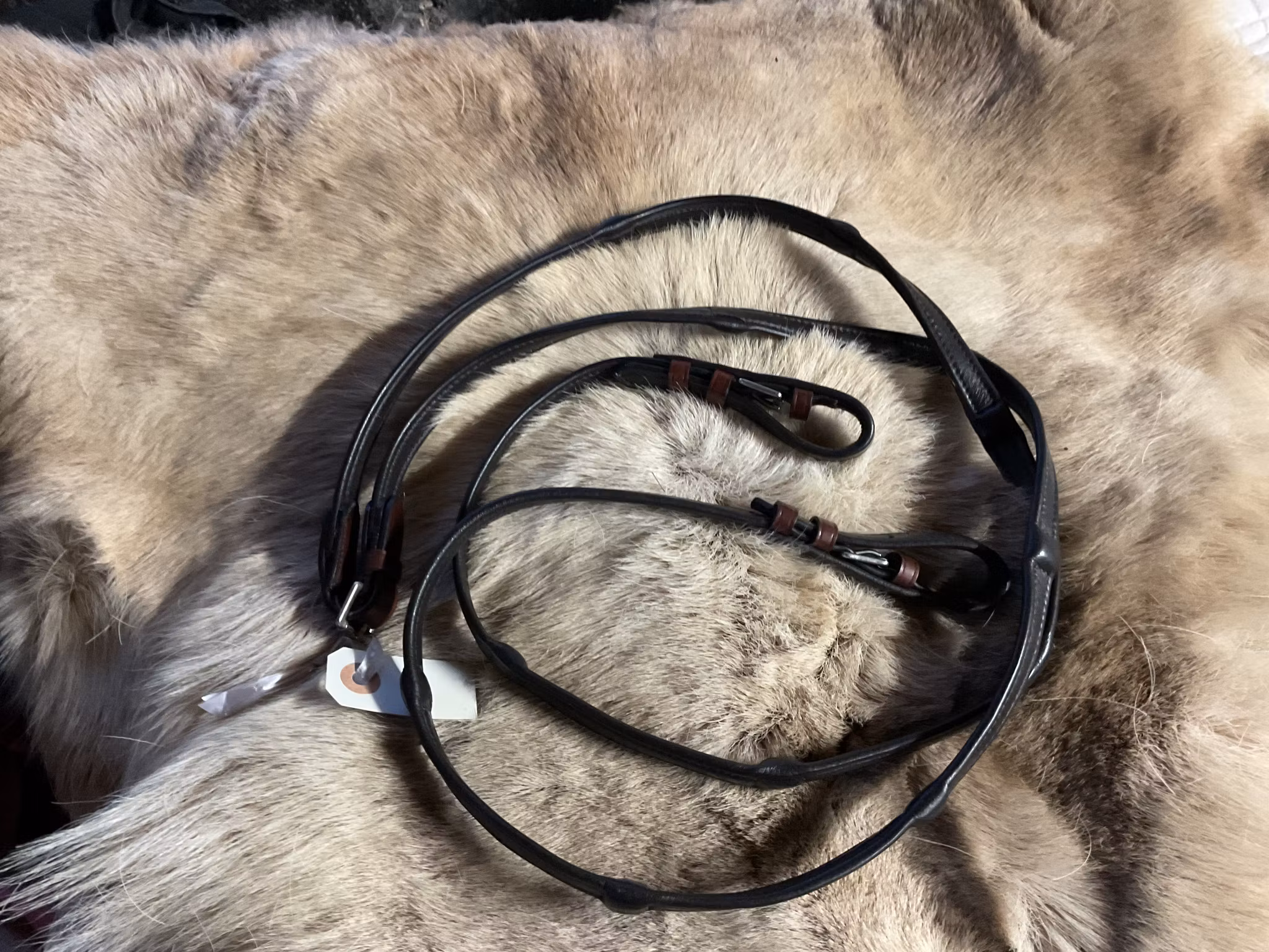 Eqviptus lädertyglar,mörkbruna,nya