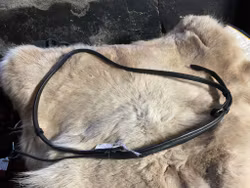 Eqviptus halsrem,svart,L,ny,ordpris 499