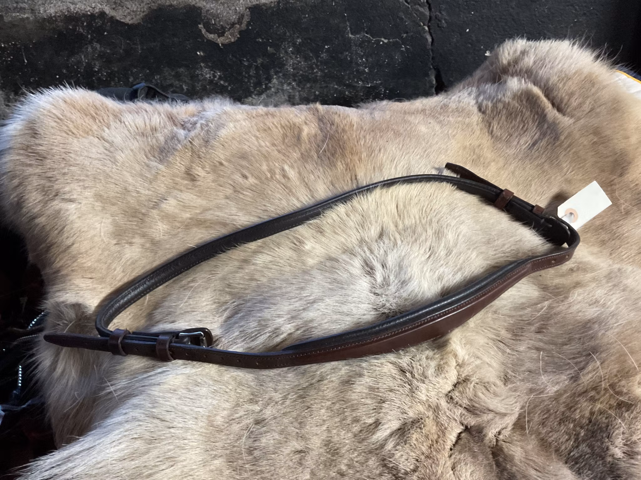 Eqviptus halsrem,brun,s,ny,ordpris 499