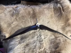 Eqviptus nackstycke,brunt,f,nytt