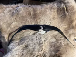 Eqviptus nackstycke,svart,f,nytt