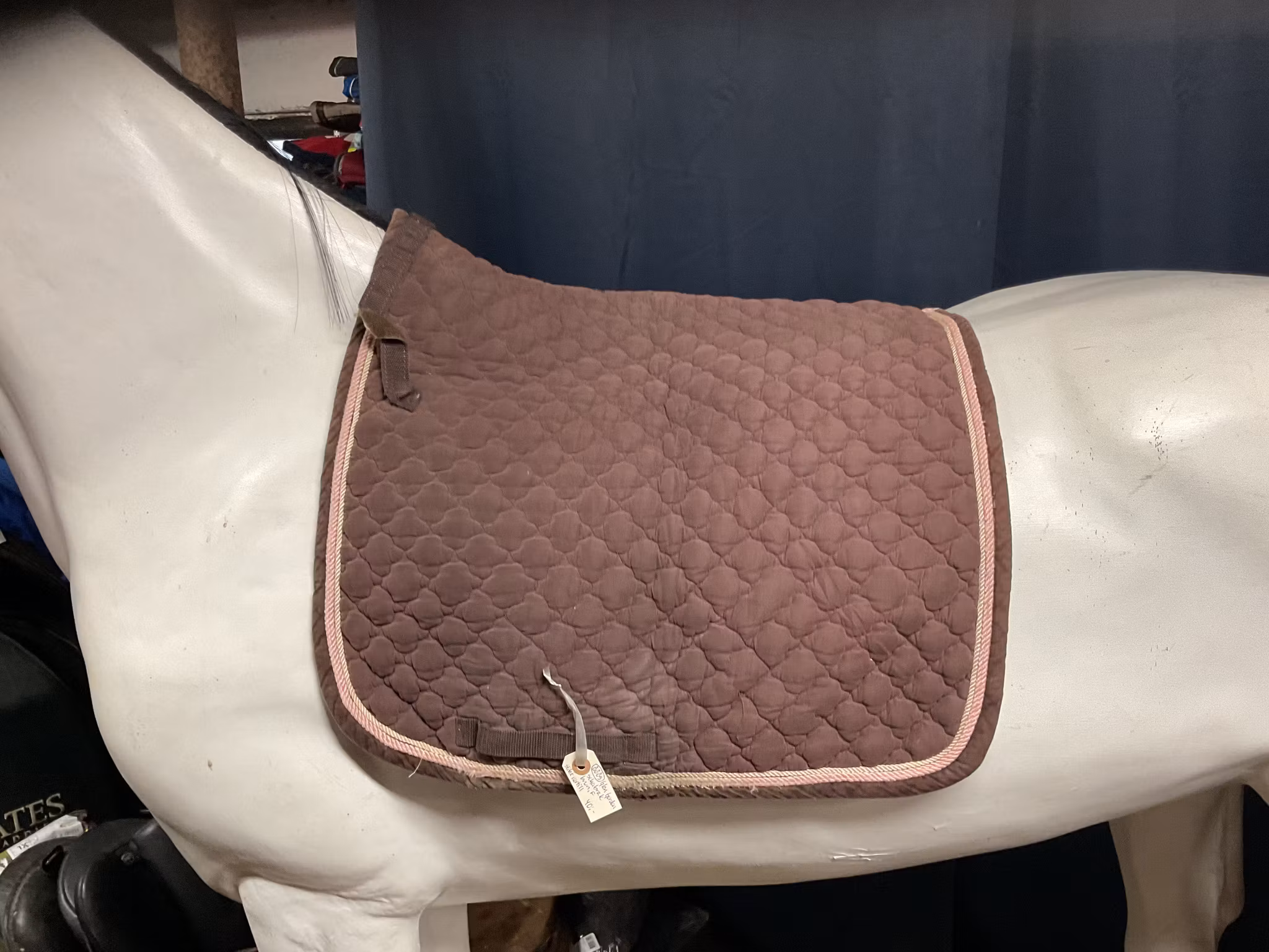 Glen gordon schabrak,brun,f,slitet nertill