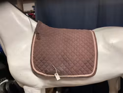 Glen gordon schabrak,brun,f,slitet nertill