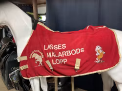 Fleecetäcke,rött,100 cm