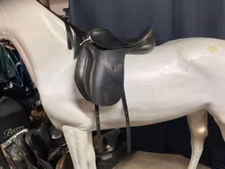 Santa cruz sadel,dressyr,svart,17”,MW
