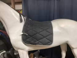 Catago schabrak,svart,16”