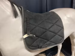 Catago schabrak,svart,16”