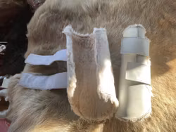 Jacson benskydd,vita,f