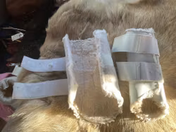 Jacson benskydd,vita,f