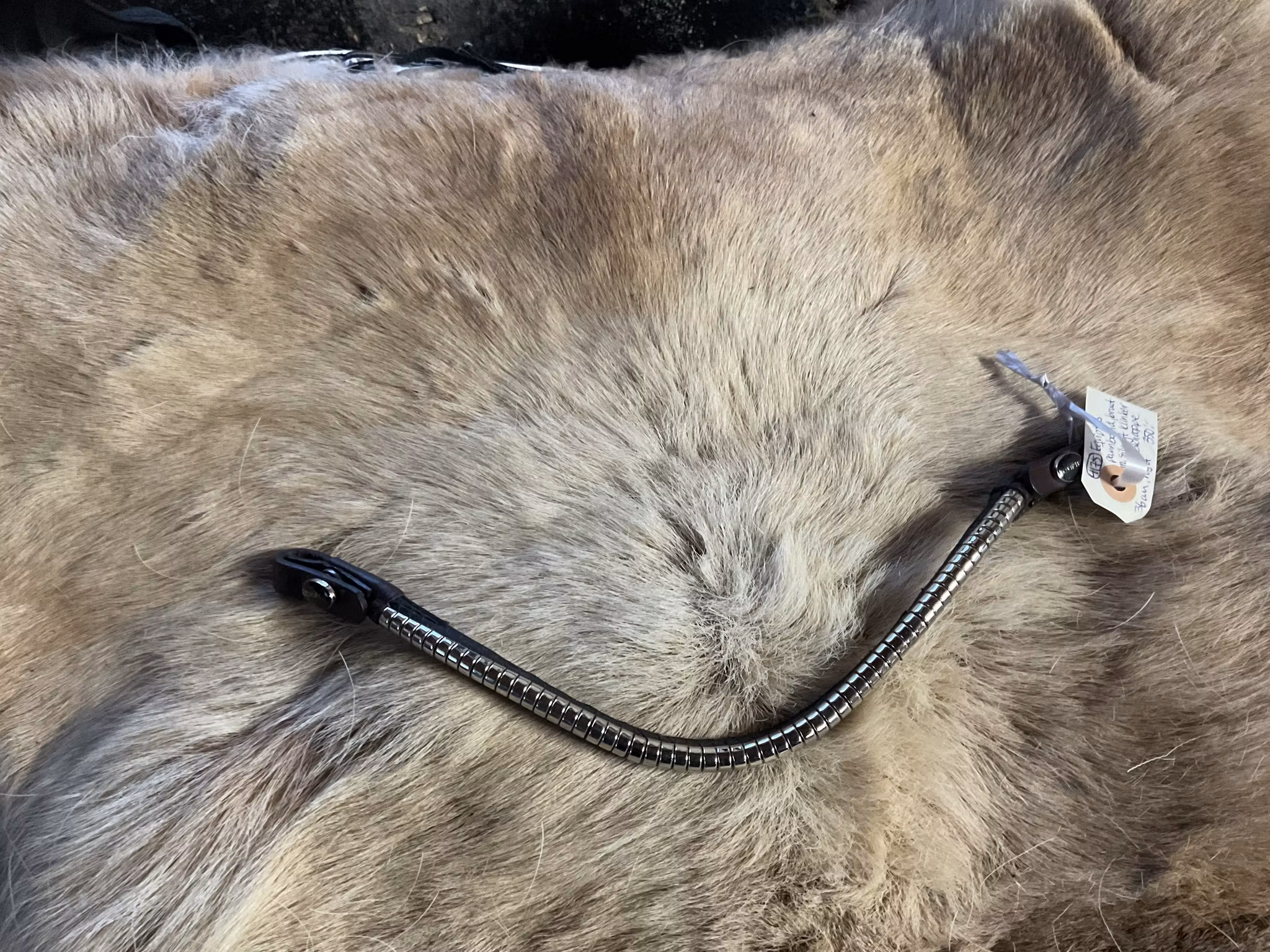 Eqviptus pannband,brunt med silvrigt klinker,snabbknäppe,36 cm,nytt