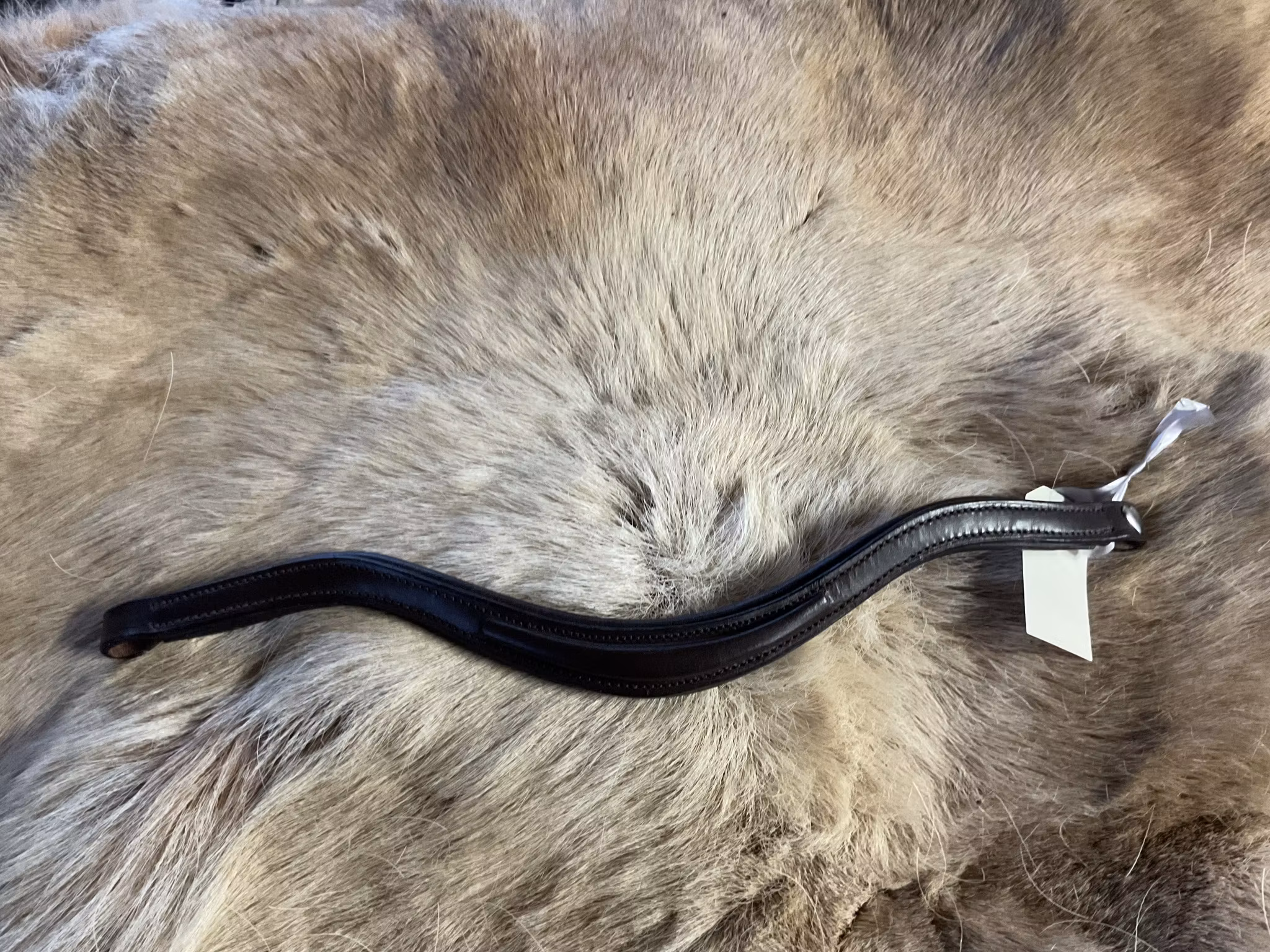 Eqviptus pannband,brunt,37 cm,nytt